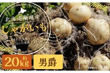 北海道 蘭越産 じゃがいも（男爵） 約20kg【2025年11月下旬～2026年4月上旬発送予定】