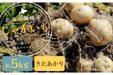北海道 蘭越産 じゃがいも （きたあかり） 約5kg【2025年11月下旬-2026年4月上旬発送予定】野菜 5kg きたあかり ポテト 常温 北海道産 蘭越町