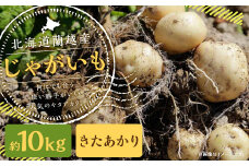 北海道 蘭越産 じゃがいも（きたあかり） 約10kg【2025年11月下旬～2026年4月上旬発送予定】