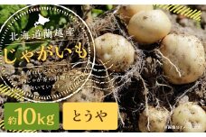 北海道 蘭越産 じゃがいも（とうや） 約10kg【2025年11月下旬～2026年4月上旬発送予定】