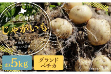 北海道 蘭越産 じゃがいも （グランドペチカ） 約5kg【2025年11月下旬-2026年4月上旬発送予定】野菜 5kg グランドペチカ ポテト 常温 北海道産 蘭越町