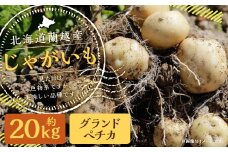 北海道 蘭越産 じゃがいも（グランドペチカ） 約20kg【2025年11月下旬～2026年4月上旬発送予定】