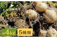 北海道 蘭越産 じゃがいも 食べ比べ 5種類セット 合計約4kg （各800g）【2025年11月下旬～2026年4月上旬発送予定】