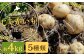 北海道 蘭越産 じゃがいも 食べ比べ5種類セット 合計約4kg （各800g）
