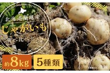 北海道 蘭越産 じゃがいも 食べ比べ 5種類セット 合計約8kg （各800g×2袋）【2025年11月下旬～2026年4月上旬発送予定】