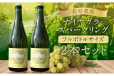「ナイヤガラ・スパークリング」フルボトル（750ml×2本）計1500ml セット ぶどう ワイン スパークリングワイン 酒 葡萄 テーブルワイン 北海道産