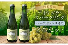 「ナイヤガラ・スパークリング」ハーフボトル（375ml×2本）計750ml セット ぶどう ワイン スパークリングワイン 酒 葡萄 テーブルワイン 北海道産