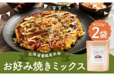 北海道蘭越産 米粉お好み焼きミックス （2個入り） グルテンフリー 約250g×2個 （計約500g） ミックス粉 ミックス お好み焼き 米粉 ゆめぴりか 北海道 蘭越町 常温