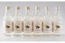 SIRACA Drink 360ml 6本 計2.16L シラカバ樹液 樹液 飲料水 水 国内 北海道産 北海道 蘭越町 常温