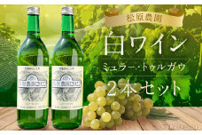 白ワイン ミュラー・トゥルガウ 2本セット 720ml×2本 合計1.44L