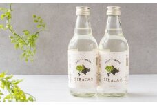 【1ヶ月毎4回定期】 SIRACA Drink 360ml×2本 （合計2.88L） 4回定期便 白樺樹液 シラカバ樹液 白樺 シラカバ 樹液 飲料水 水 セット 定期便 北海道 蘭越町 常温