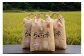 【令和7年産】有機JAS転換期間中有機農産物 らんこし産 ゆめぴりか 5kg