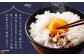 らんこし米 食べ比べ (ななつぼし・ゆめぴりか) 各2kg