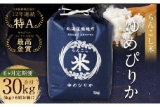 【6ヶ月定期便】らんこし米 (ゆめぴりか 5kg)