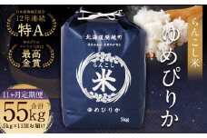 【11ヶ月定期便】らんこし米（ゆめぴりか）5kg×11回