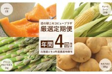 【道の駅ニセコビュープラザ直売所厳選定期便】北海道ニセコ町産農産物頒布（年間4回発送）＜2025年予約＞【0202102】