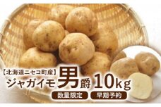 【北海道ニセコ町産】ジャガイモ　男しゃく LMサイズ　10kg　＜数量限定・2025年早期予約・10月より出荷予定＞【0202502】