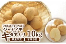 【北海道ニセコ町産】ジャガイモ　キタアカリ LMサイズ　10kg　＜数量限定・2025年早期予約・10月より出荷予定＞【0202402】