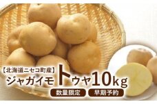 【北海道ニセコ町産】ジャガイモ　とうや LMサイズ　10kg　＜数量限定・2025年早期予約・10月より出荷予定＞【0202602】