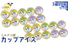 ニセコ高橋牧場ミルク工房 カップアイス3種20個セット【0311501】