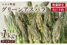 【数量限定】【北海道ニセコ町産】グリーンアスパラМ/Ｌ混みサイズ　＜2025年予約・5月下旬より出荷予定＞【0202701】