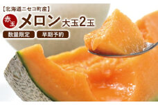【北海道ニセコ町産】赤肉メロン大玉2玉　＜数量限定・2025年早期予約・7月下旬より出荷予定＞【0202202】