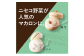 The NISEKO Macaron ニセコマカロン（菊芋・バジル）３個入り×２種セット【26003】 