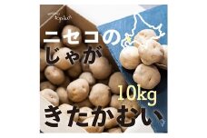 北海道ニセコ産！2023若山農産のきたかむい Sサイズ　10kg【26006】
