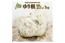 <早期予約>北海道ニセコ町 ゆり根M-L混みサイズ1kg【2024年産】【3200301】
