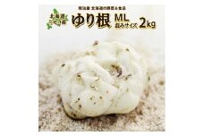 <早期予約>北海道ニセコ町 ゆり根M-L混みサイズ2kg【2024年産】【3200401】

