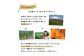 北海道ニセコ町 かぼちゃ5kg【2025年産】