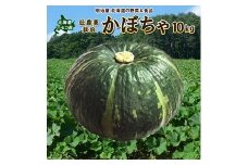 <早期予約>北海道ニセコ町 かぼちゃ10kg【2025年産】【3200701】