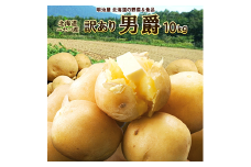 <早期予約>北海道ニセコ町 訳ありじゃがいも男爵10kg【2025年産】【3201001】