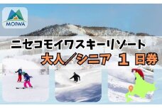 ニセコモイワスキーリゾート　オールシーズン　リフト券（大人／シニア　１日券）【12010】