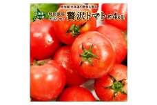 ＜早期予約・数量限定＞北海道ニセコ町 贅沢トマト4kg【2025年産】【32005】