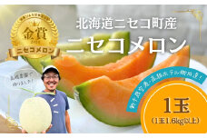 《2025年分受付中》糖度13度以上!市場には出回らない北海道ニセコメロン1玉（1.6kg以上）/高橋農園【37001】