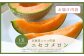 《2025年分受付中》糖度13度以上!市場には出回らない北海道ニセコメロン1玉（1.6kg以上）/高橋農園【37001】