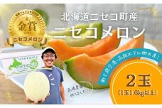 《2025年分受付中》糖度13度以上!市場には出回らない北海道ニセコメロン2玉（1玉1.6kg以上）/高橋農園【37002】