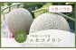 《2025年分受付中》糖度13度以上!市場には出回らない北海道ニセコメロン1玉（1.6kg以上）/高橋農園【37002】