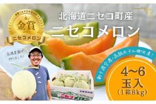 《2025年分受付中》糖度13度以上!市場には出回らない北海道ニセコメロン4～6玉（1箱8kg）/高橋農園【37003】
