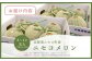 《2025年分受付中》糖度13度以上!市場には出回らない北海道ニセコメロン8～12玉（1箱8kg×2箱）/高橋農園【37004】