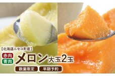 【北海道ニセコ町産】赤・青メロン大玉2玉セット　＜数量限定・2025年早期予約・7月下旬より出荷予定＞【0202801】
