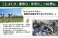 【定期便：全4回】ニセコ高橋牧場ミルク工房 のむヨーグルト（小）20本Cセット【03123】