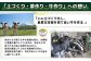 【定期便：全2回】ニセコ高橋牧場ミルク工房
カップアイス3種20個セット【03129】