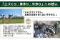 【定期便：全4回】ニセコ高橋牧場ミルク工房
カップアイス3種20個セット【03131】