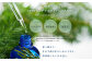 ニセコトドマツスプレー MISTY FOREST Room & Fabric Spray 100ml【20022】