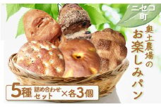 お楽しみパン 5種 計15個 詰め合わせ セット オンライン 申請 ふるさと納税 北海道 ニセコ ライ麦パン 田舎パン フォカッチャ ぶどうくるみパン かぼちゃパン パン ぱん 美味しいパン 食べ比べ 朝食 朝ごはん 冷凍パン ニセコ町 【42001】
