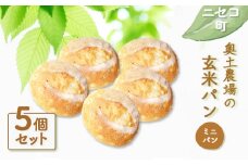 玄米パン ミニパン 5個 セット 自家製酵母 オンライン 申請 ふるさと納税 北海道 ニセコ 玄米 パン ぱん 美味しいパン シンプルなパン 朝食 朝ごはん トースト サンドイッチ 道産小麦 冷凍パン 奥土農場 ニセコ町 【42008】