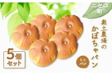 かぼちゃパン ミニパン 5個 セット 自家製酵母 オンライン 申請 ふるさと納税 北海道 ニセコ かぼちゃ パン ぱん 美味しいパン 優しい甘み 朝食 朝ごはん 道産小麦 冷凍パン 奥土農場 ニセコ町 【42009】
