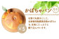 【ニセコ町】奥土農場のかぼちゃパン（ﾐﾆﾊﾟﾝ) 5個セット【42009】